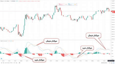 آیا تریدر با سرمایه گذار مشابه است؟